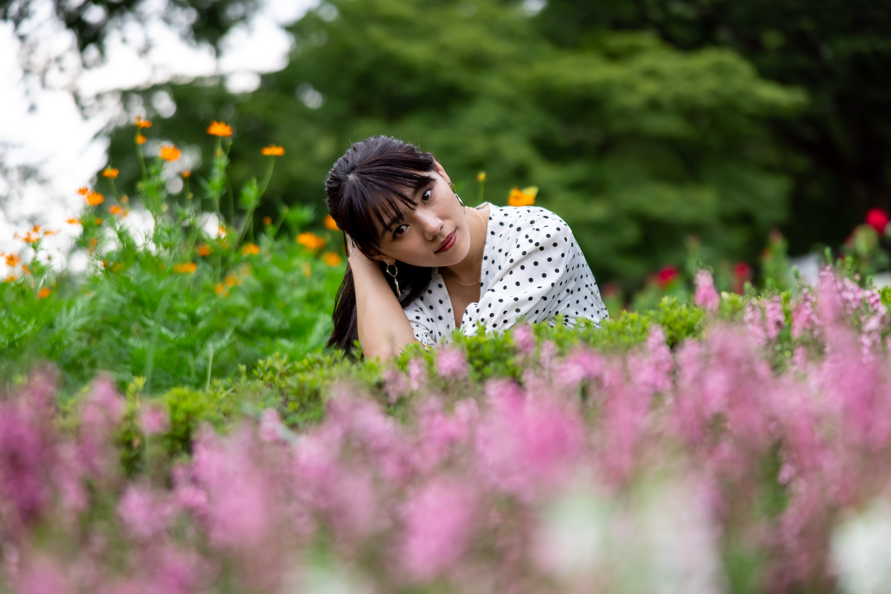 EOS R5 / RF28-70mm F2 L USM（70mm） / 絞り優先AE（F2・1/800秒・+0.7EV） / ISO 100 / WB：オート
