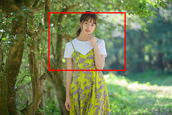 新製品レビュー：Nikon NIKKOR Z 70-200mm f/2.8 VR S - デジカメ Watch