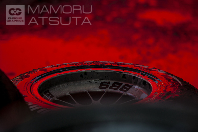 EOS-1Ds　EF600mm F4L IS USM（F4.5・1/250秒・ISO 100）