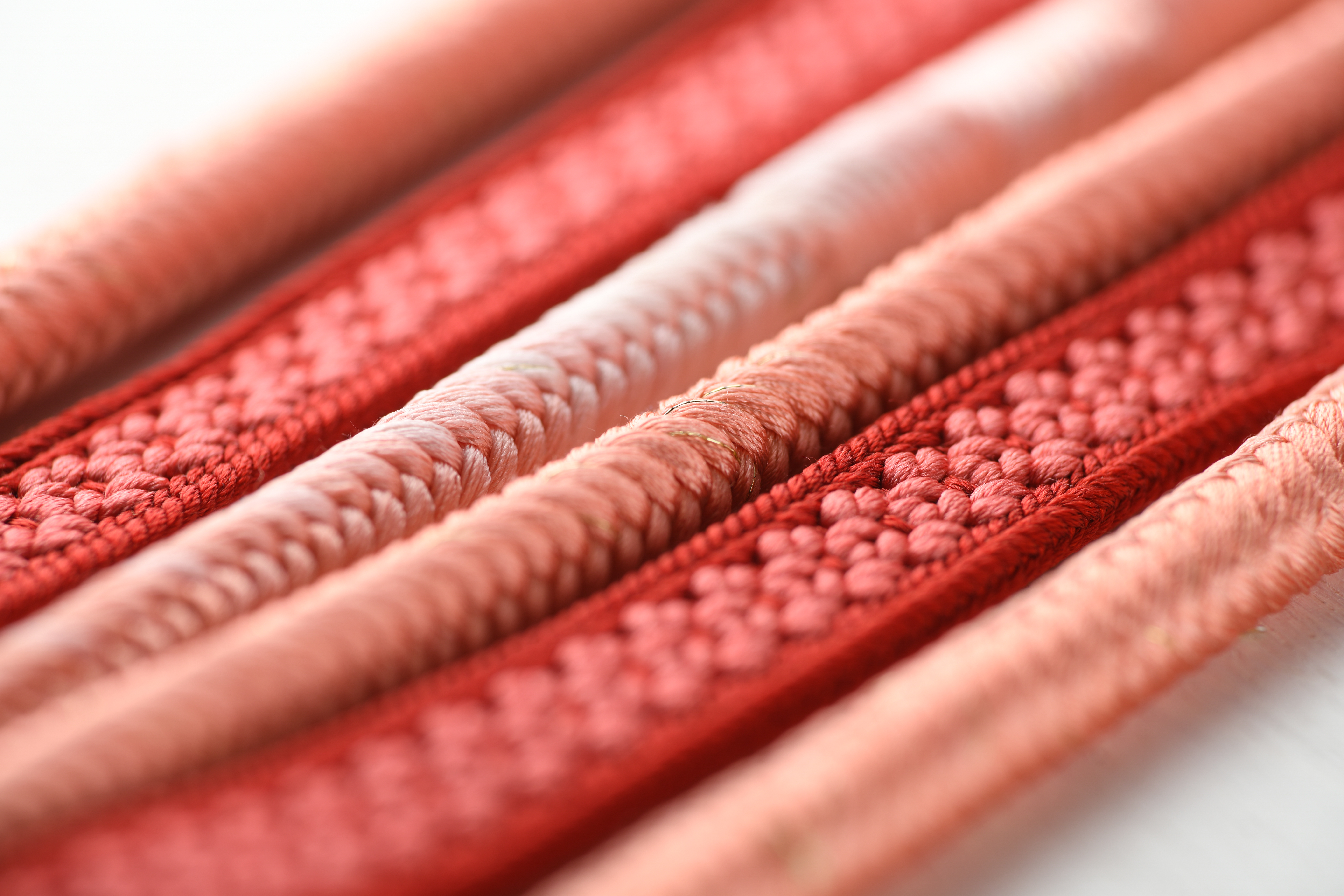 D850 / AF-S NIKKOR 70-200mm f/4G ED VR / 140mm / マニュアル露出（1/125秒・F9.0） / ISO 64 / NiSiクローズアップレンズ装着