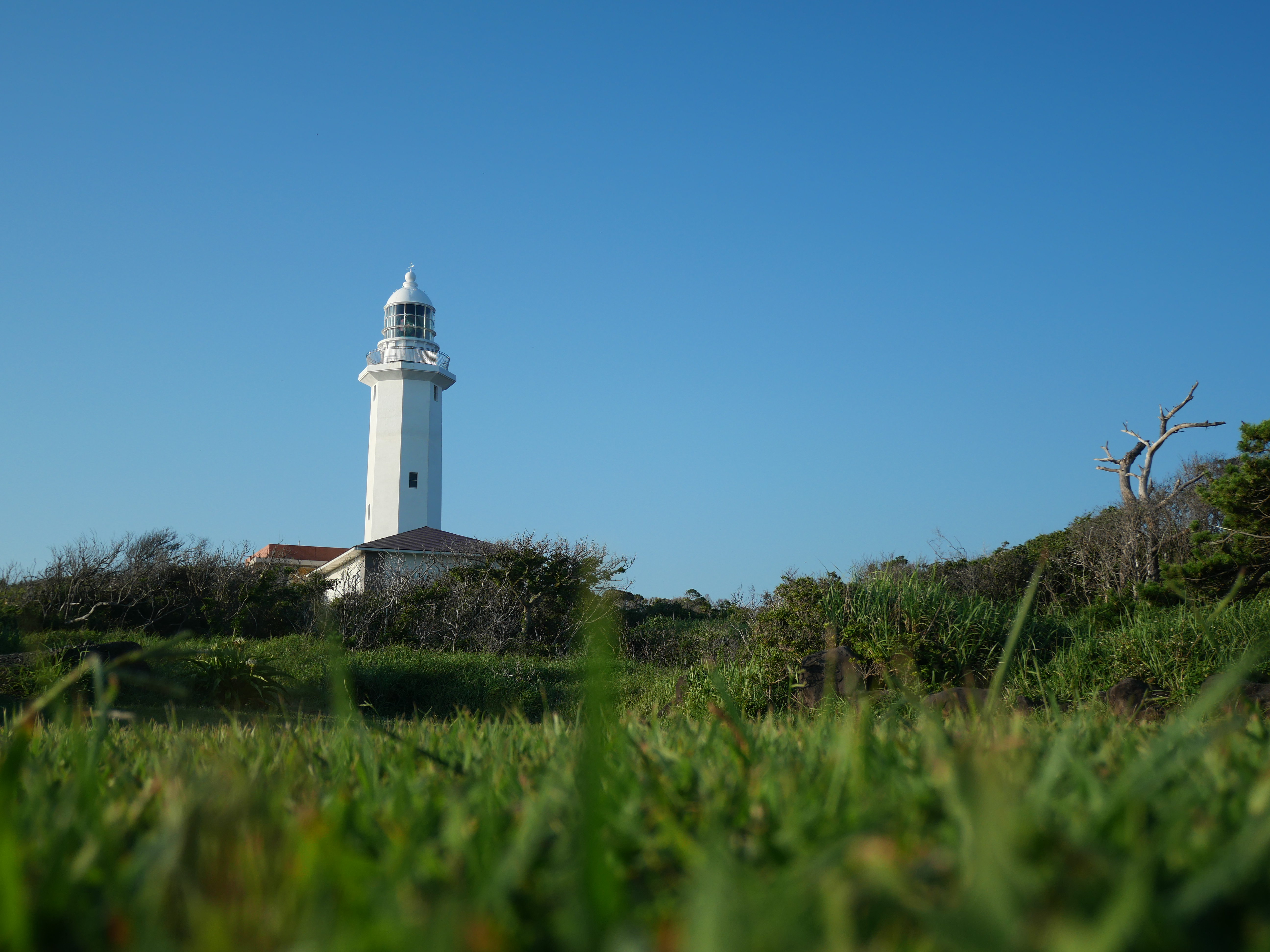 <span class="fnt-85">LUMIX G100 / LUMIX G VARIO 12-32mm / F3.5-5.6 ASPH. / MEGA O.I.S.（19mm：35mm判換算38mm相当） / 絞り優先AE（F4.3・1/1,600秒・±0EV） / ISO 200</span>