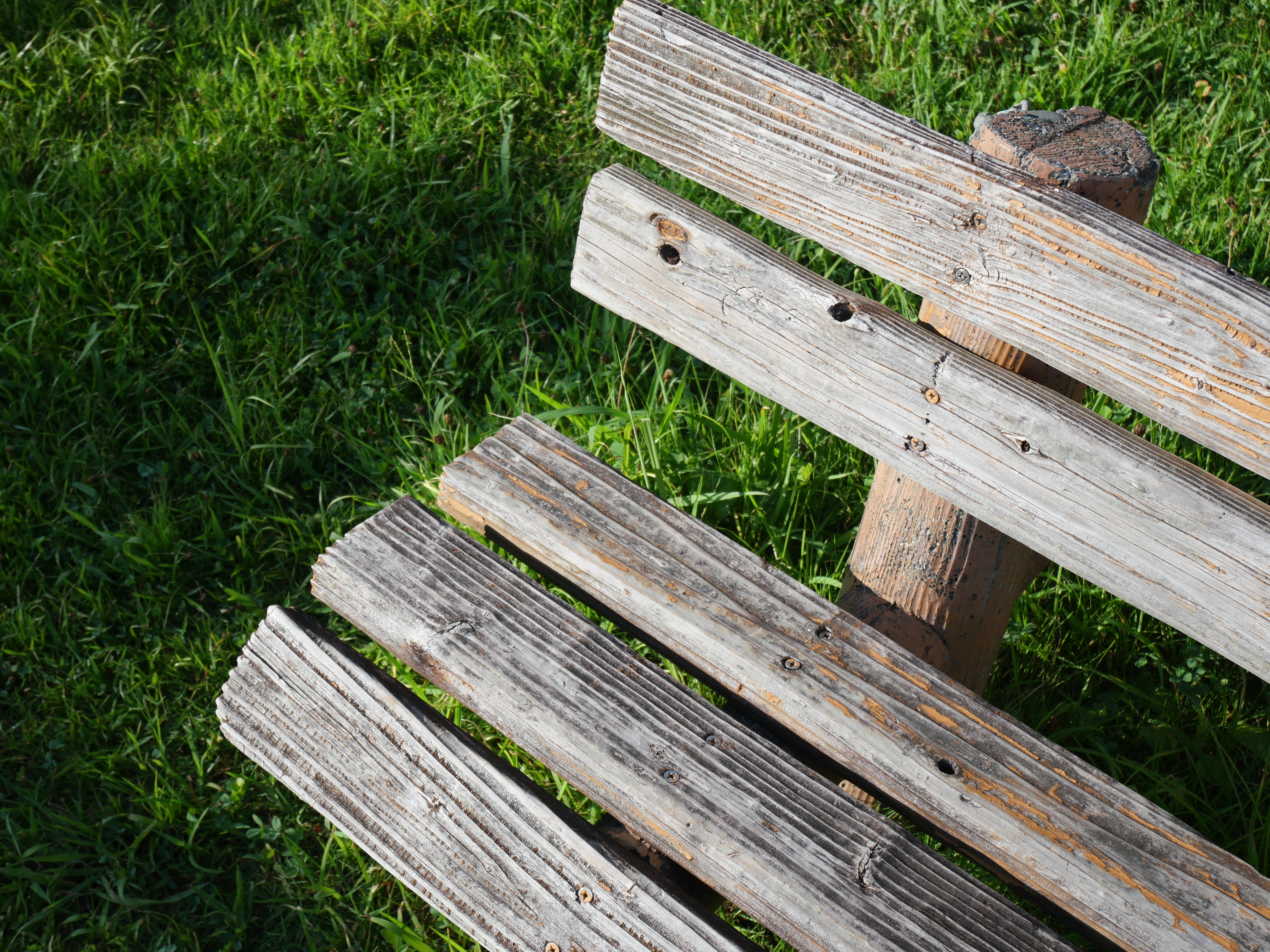 <span class="fnt-85">LUMIX G100 / LUMIX G VARIO 12-32mm / F3.5-5.6 ASPH. / MEGA O.I.S.（25mm：35mm判換算50mm相当） / 絞り優先AE（F5.2・1/500秒・+0.3EV） / ISO 200</span>