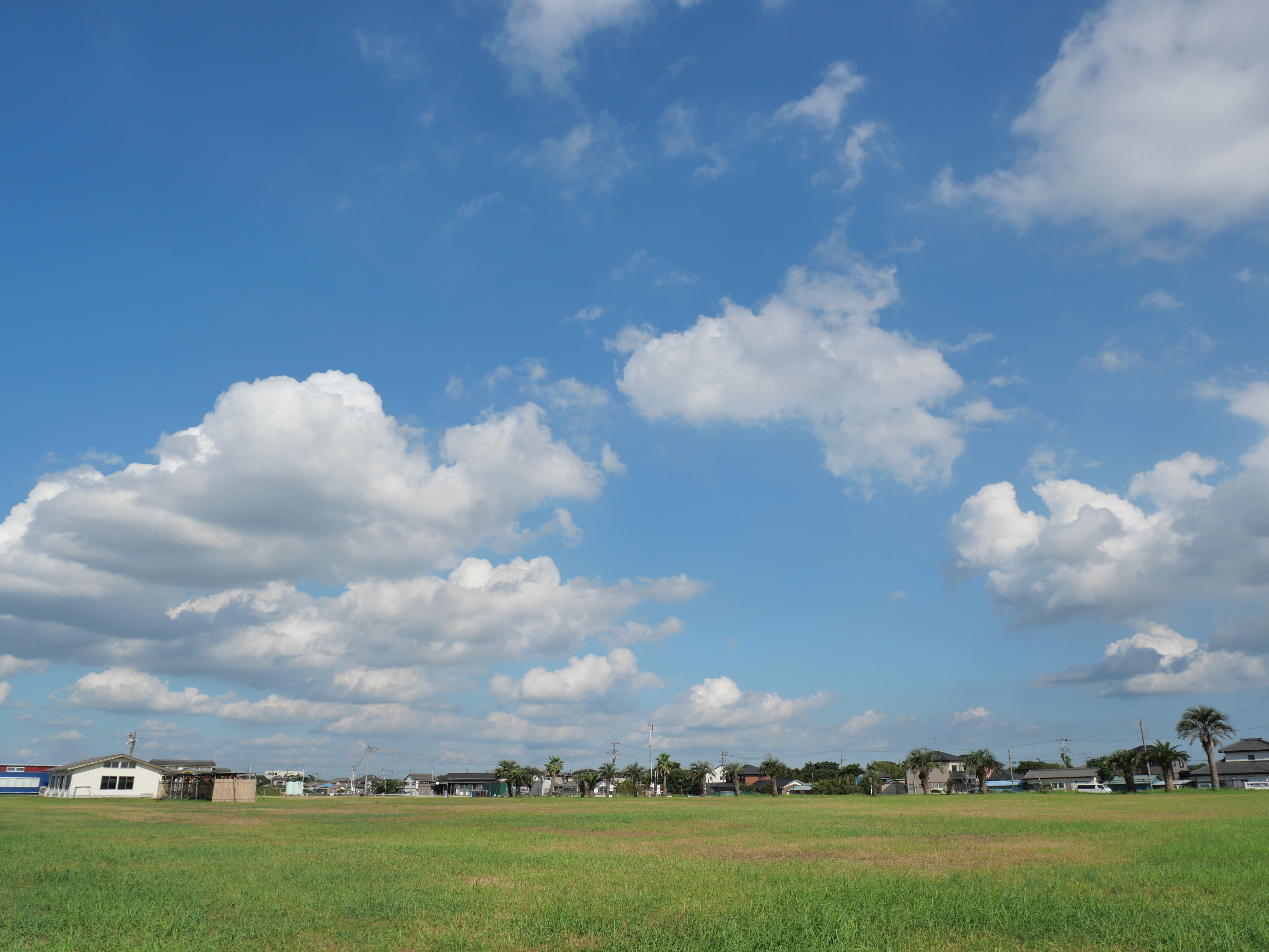 <span class="fnt-85">LUMIX G100 / LUMIX G VARIO 12-32mm / F3.5-5.6 ASPH. / MEGA O.I.S.（12mm：35mm判換算24mm相当） / 絞り優先AE（F8・1/800秒・+0.7EV） / ISO 200</span>