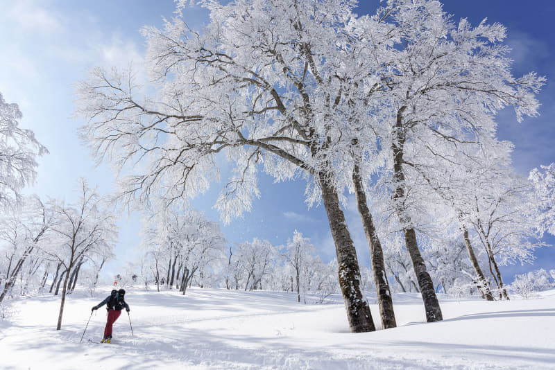 作者：sansuianさん