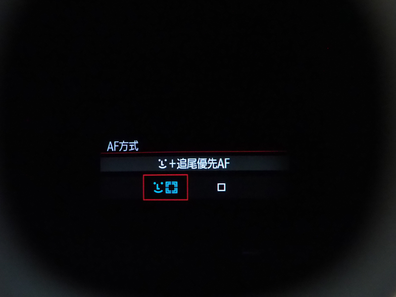 ※ファインダー内をカメラで撮影