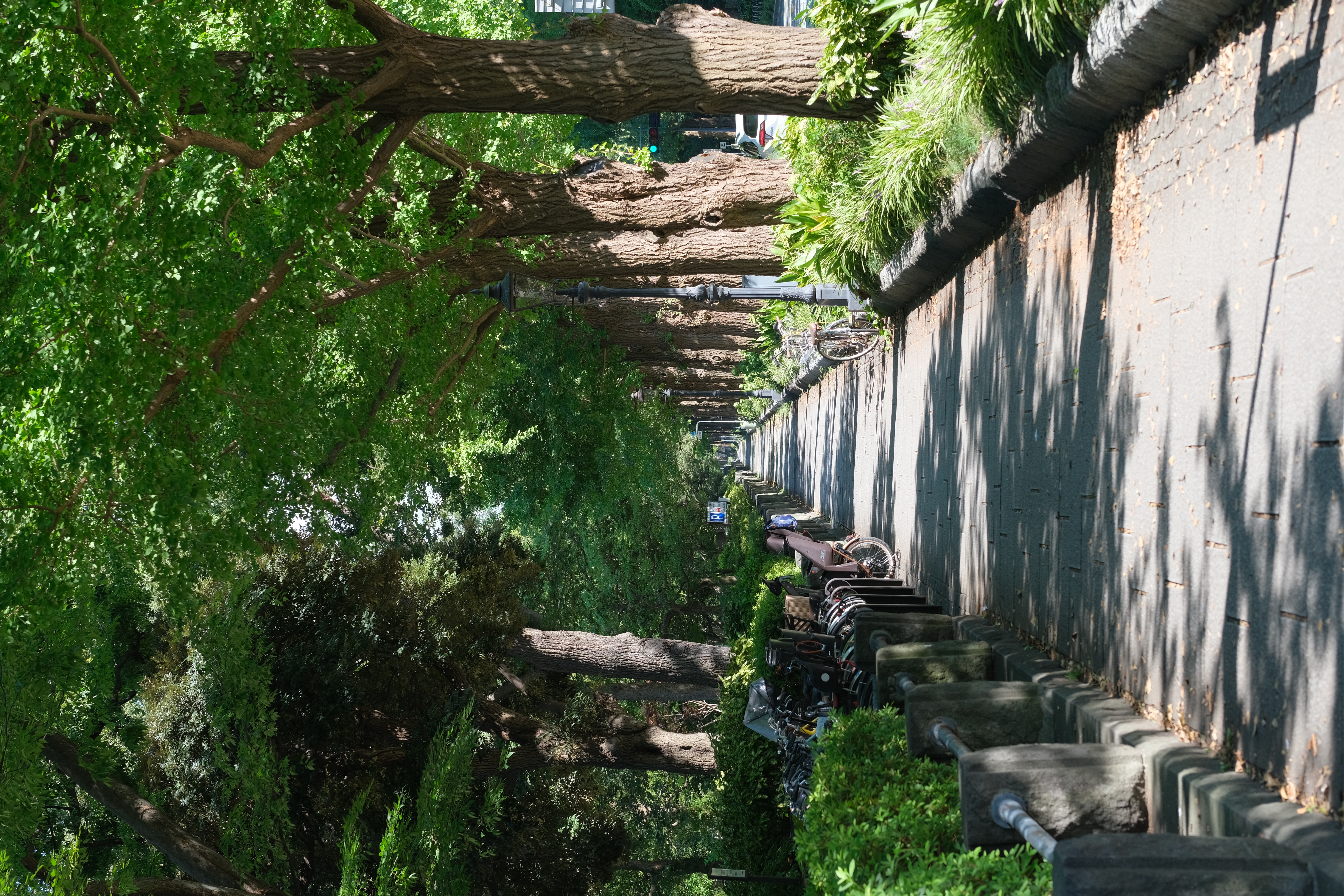 苦手だけど絞ると描写が変わる<br><span class="fnt-85">X-T4 / XF50mmF1.0 R WR / 絞り優先AE（F5.6・1/220秒・±0EV） / ISO 320</span>