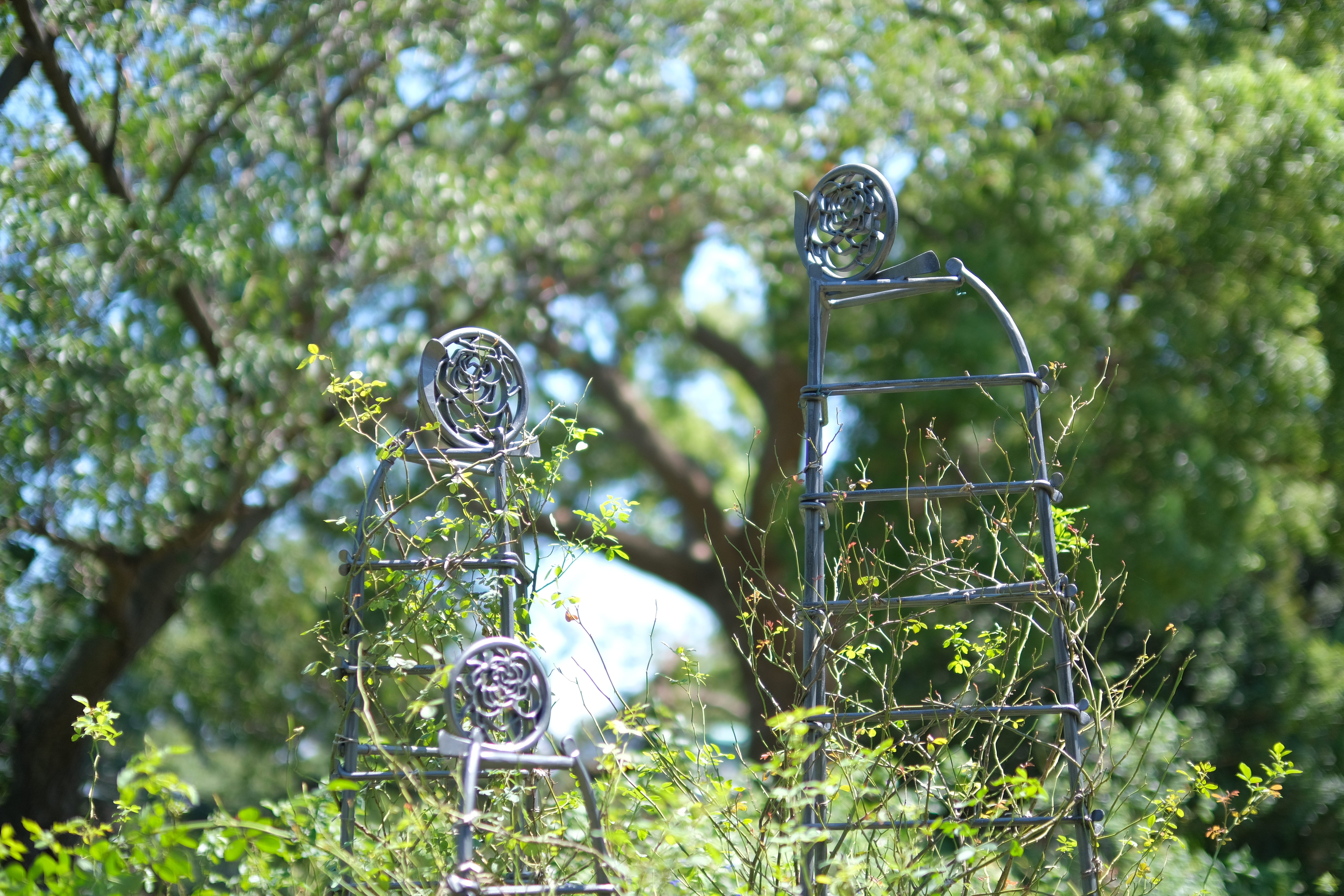 ともに開放の場合