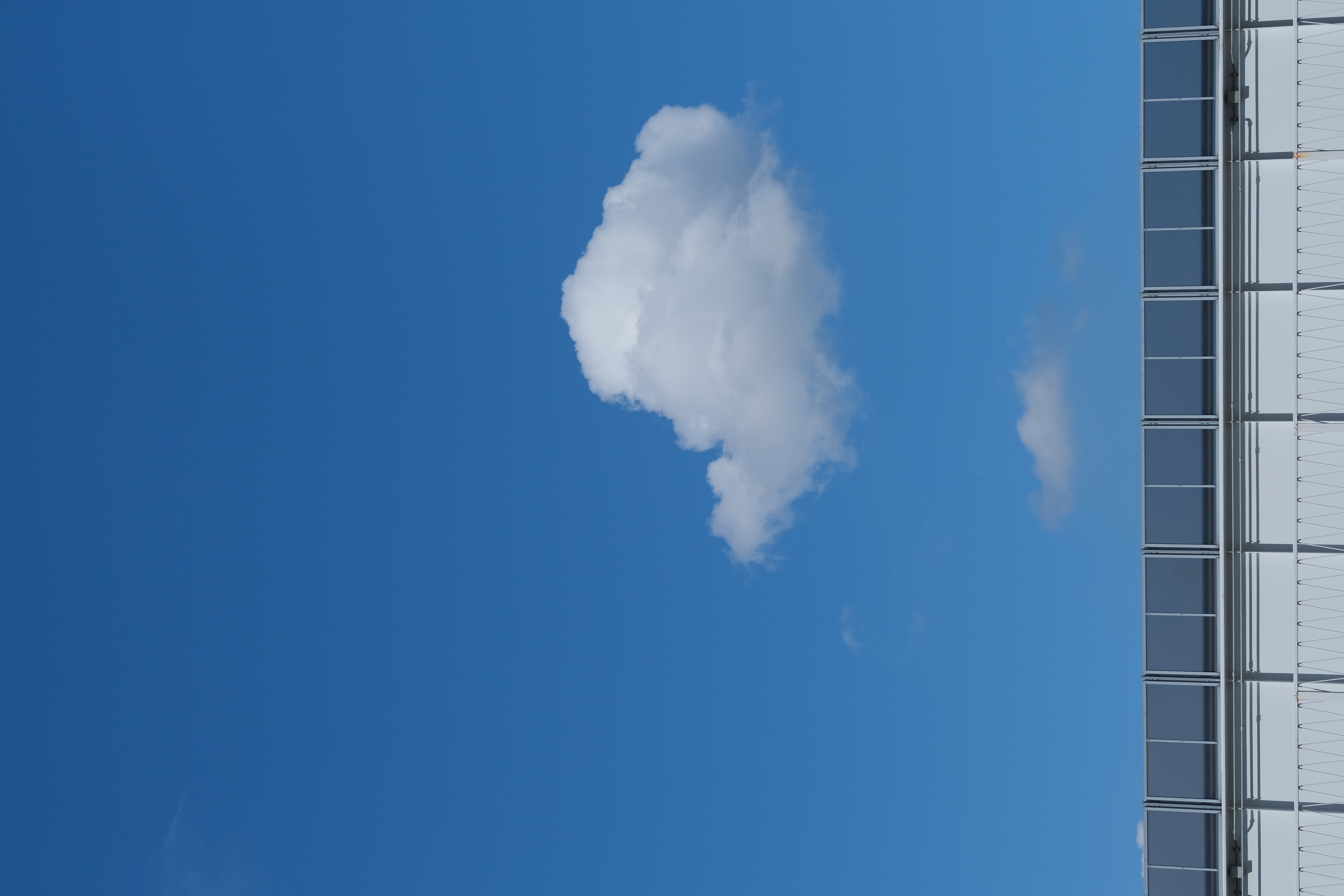 <span class="fnt-85">X-T4 / XF50mmF1.0 R WR / 絞り優先AE（F7.1・1/2,000秒・-0.3EV） / ISO 320</span>