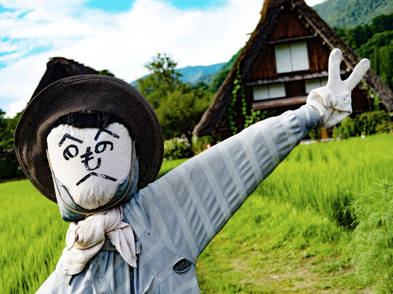 白川村ではユニークな案山子が観光客を出迎えてくれる無料の休憩所がある。ピントを合わせた手前の案山子はシャープに表現されており、背景のボケも自然で好感が持てる。<br><span class="fnt-85">OM-D E-M1 Mark III / M.ZUIKO DIGITAL ED 12-45mm F4.0 PRO / 26mm（52mm相当） / 絞り優先AE（F4、1/320秒、+0.7EV） / ISO 200 / WB:オート</span>