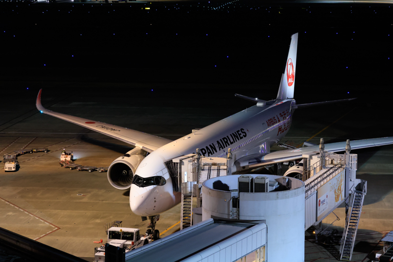 左がクロップなし焦点距離100mm、右がクロップ後の800mm相当。ISO 6400での撮影だがノイズはほとんど見られない（撮影：ルーク・オザワ）