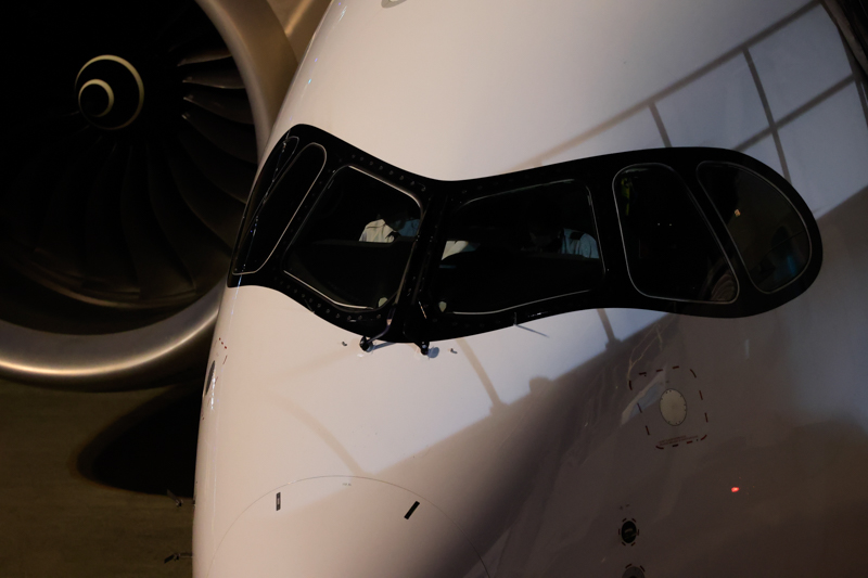 左がクロップなし焦点距離100mm、右がクロップ後の800mm相当。ISO 6400での撮影だがノイズはほとんど見られない（撮影：ルーク・オザワ）