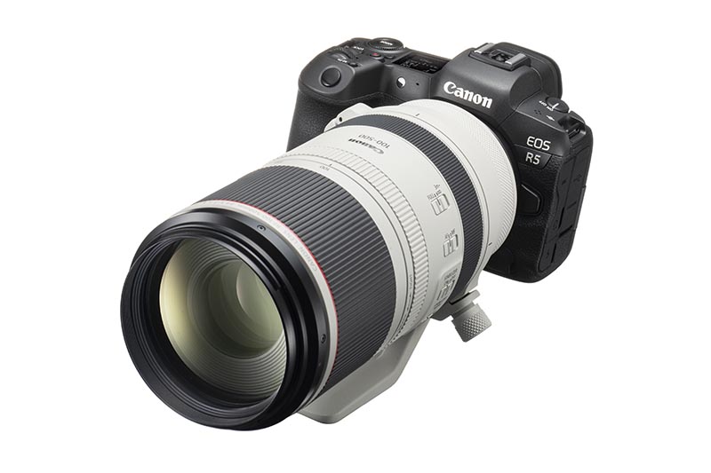 EOS R5 + RF100-500mm F4.5-7.1 L IS USM　<span class="fnt-85">撮影：加藤丈博</span>