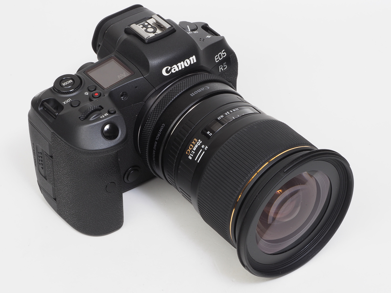 なぜこのレンズを購入したのか記憶にないが、純正のEFレンズに代わりが務まるものが存在しなかったからだろうな。11群13枚構成、最短撮影距離も0.2mと頑張っている。うちのEOS一眼レフとなんとなく相性が悪く、完全に合焦する写真ができるのは稀だったが今回は真価をみた。当然DLOは反映できないけど、写りは悪くない。