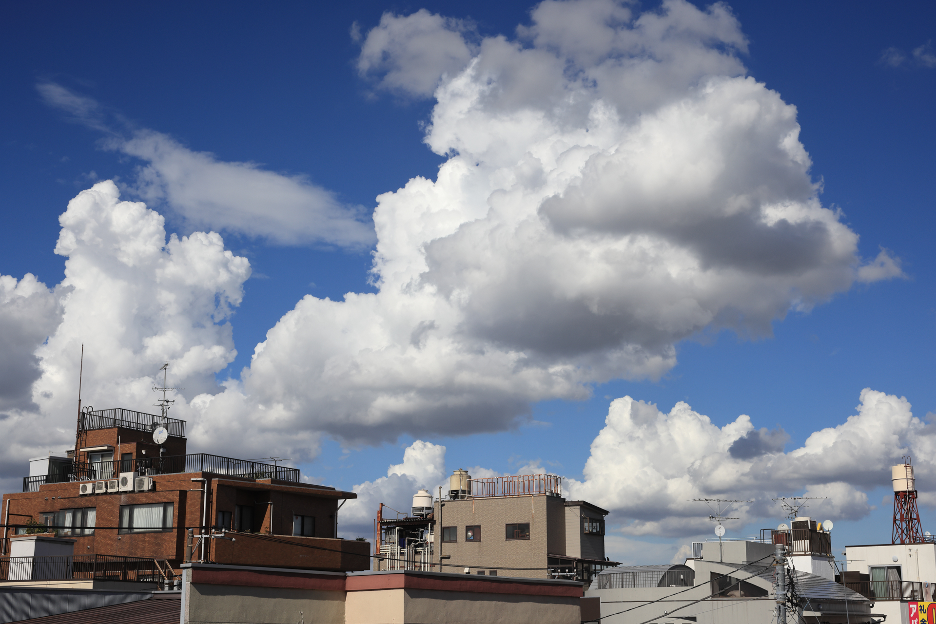 通常撮影。この夏は東京でも魅力的な形の雲が頻繁に見られた。これまでの撮影ではヌケが今ひとつ厚ぼったい写りという印象あり。ところが階調再現性も悪くないし、DLOを通すと像が締まる感じがする。<br>EOS R5　EF50mm F2.5 コンパクトマクロ（F14・1/1,600秒）ISO 400