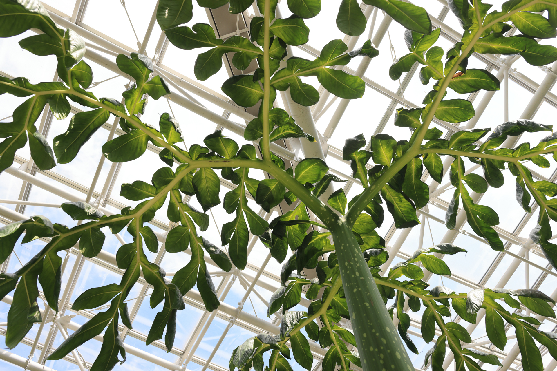 旧EF24mm F2.8をずっと使ってきたが、地味な存在のレンズがまさかフルモデルチェンジしてISまで搭載してリリースされるとは思わず、本レンズには敬意を表して発売日に来ていただいた。感動的によく写るし突っ込みどころがない。<br>EOS R5　EF24mm F2.8 IS USM（F8・1/200秒）ISO 200