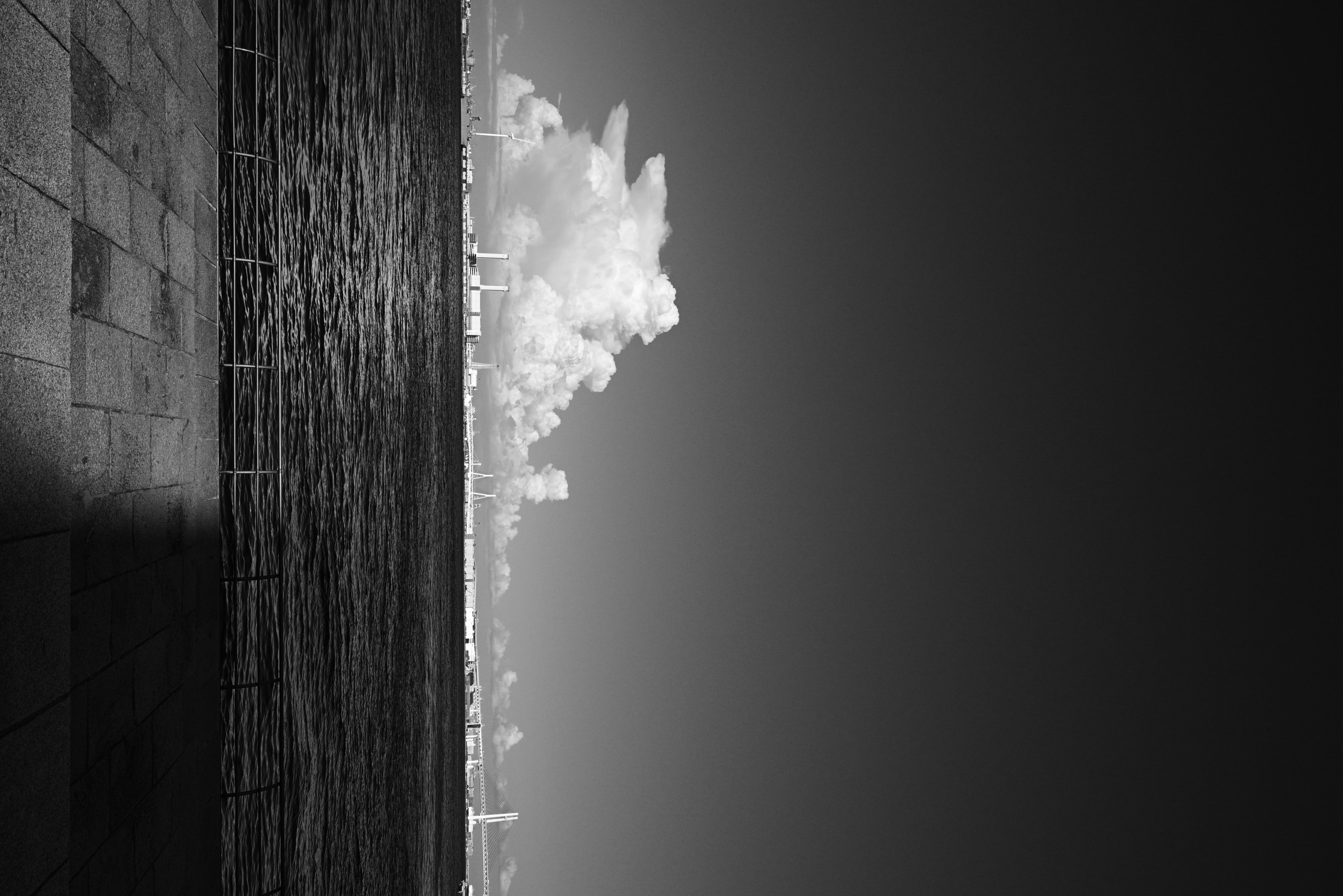 <span class="fnt-85">Z 5 / NIKKOR Z 24-50mm f/4-6.3（24mm） / プログラムAE（F9・1/1,250秒・±0EV） / ISO 400</span>