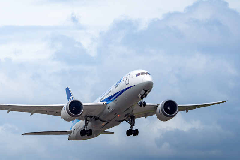 α7 III / FE 200-600mm F5.6-6.3 G OSS / 600mm / マニュアル露出（1/1,000秒・F8.0） / ISO 250