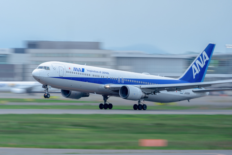 α7 III / FE 200-600mm F5.6-6.3 G OSS / 600mm / マニュアル露出（1/30秒・F6.3） / ISO 125