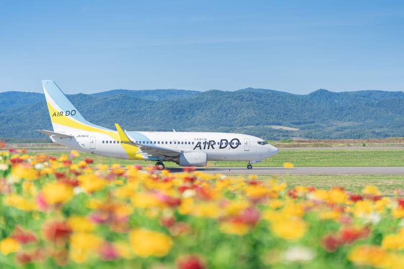 α7 III / FE 70-200mm F2.8 GM OSS / 120mm / マニュアル露出（1/3,200秒・F2.8） / ISO 100