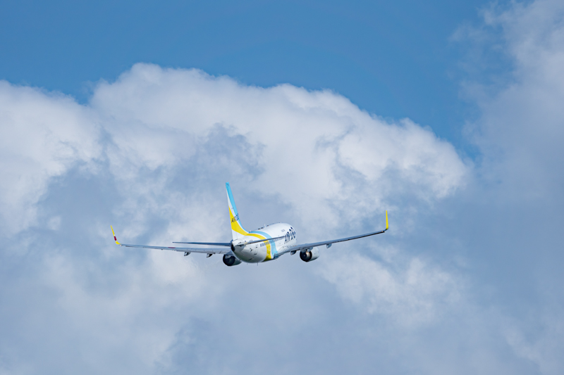 α7 III / FE 200-600mm F5.6-6.3 G OSS / 600mm / マニュアル露出（1/2,000秒・F8.0） / ISO 100