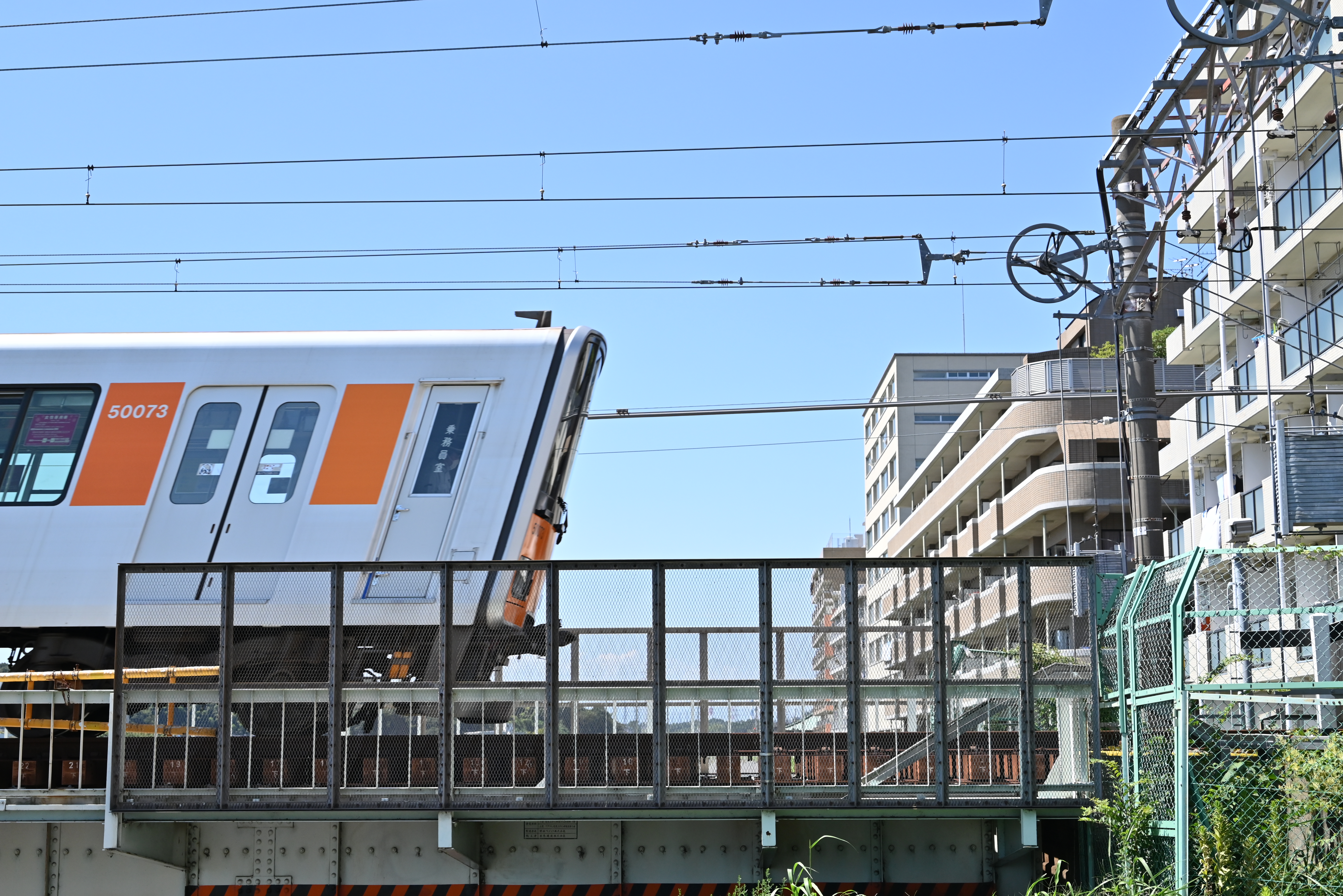 Z 5：NIKKOR Z 24-50mm f/4-6.3（50mm） / マニュアル露出（F6.3・1/1,250秒・+0.7EV） / ISO 400