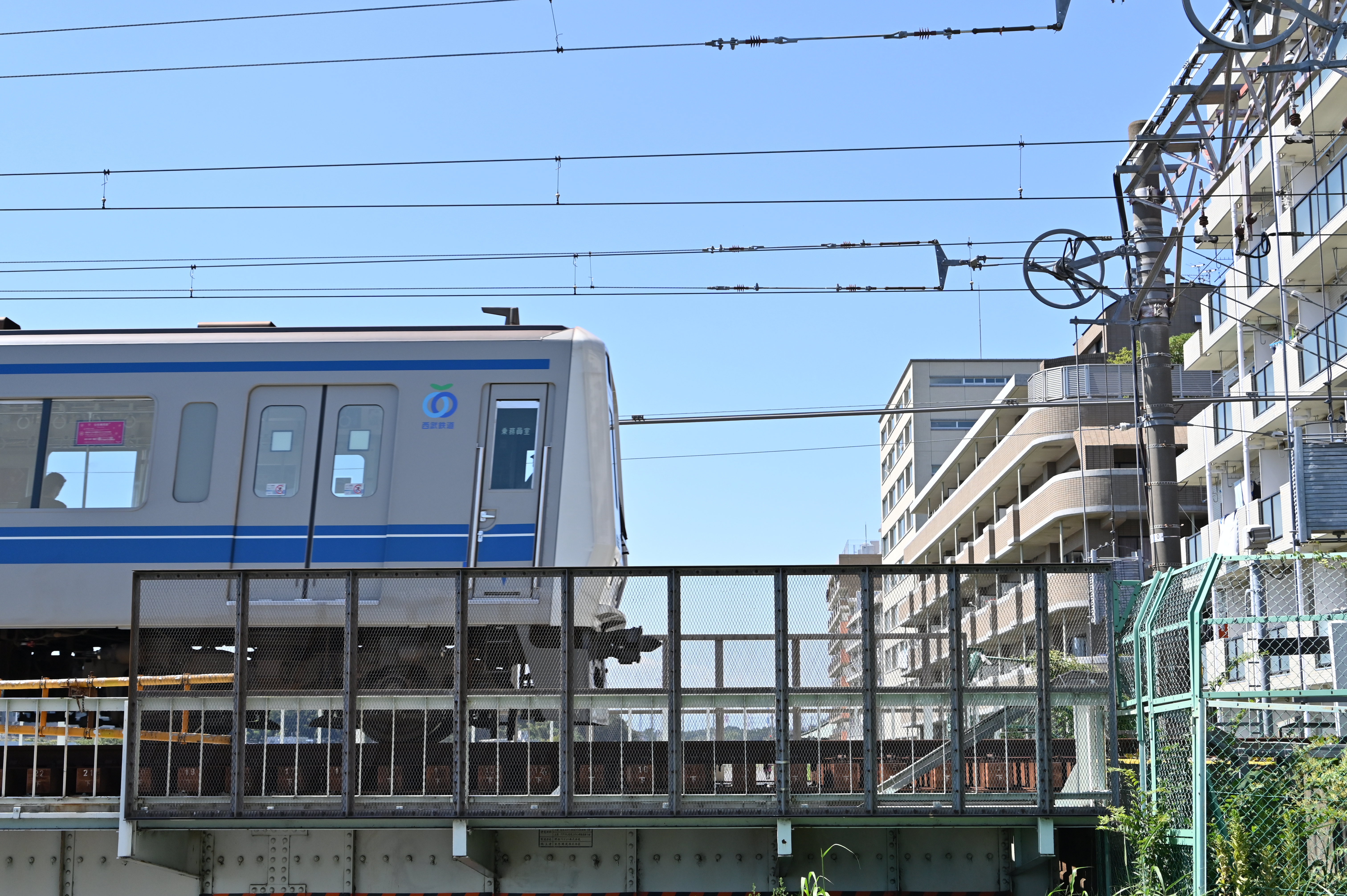 Z 6：NIKKOR Z 24-50mm f/4-6.3（50mm） / マニュアル露出（F6.3・1/1,250秒・+0.3EV） / ISO 400