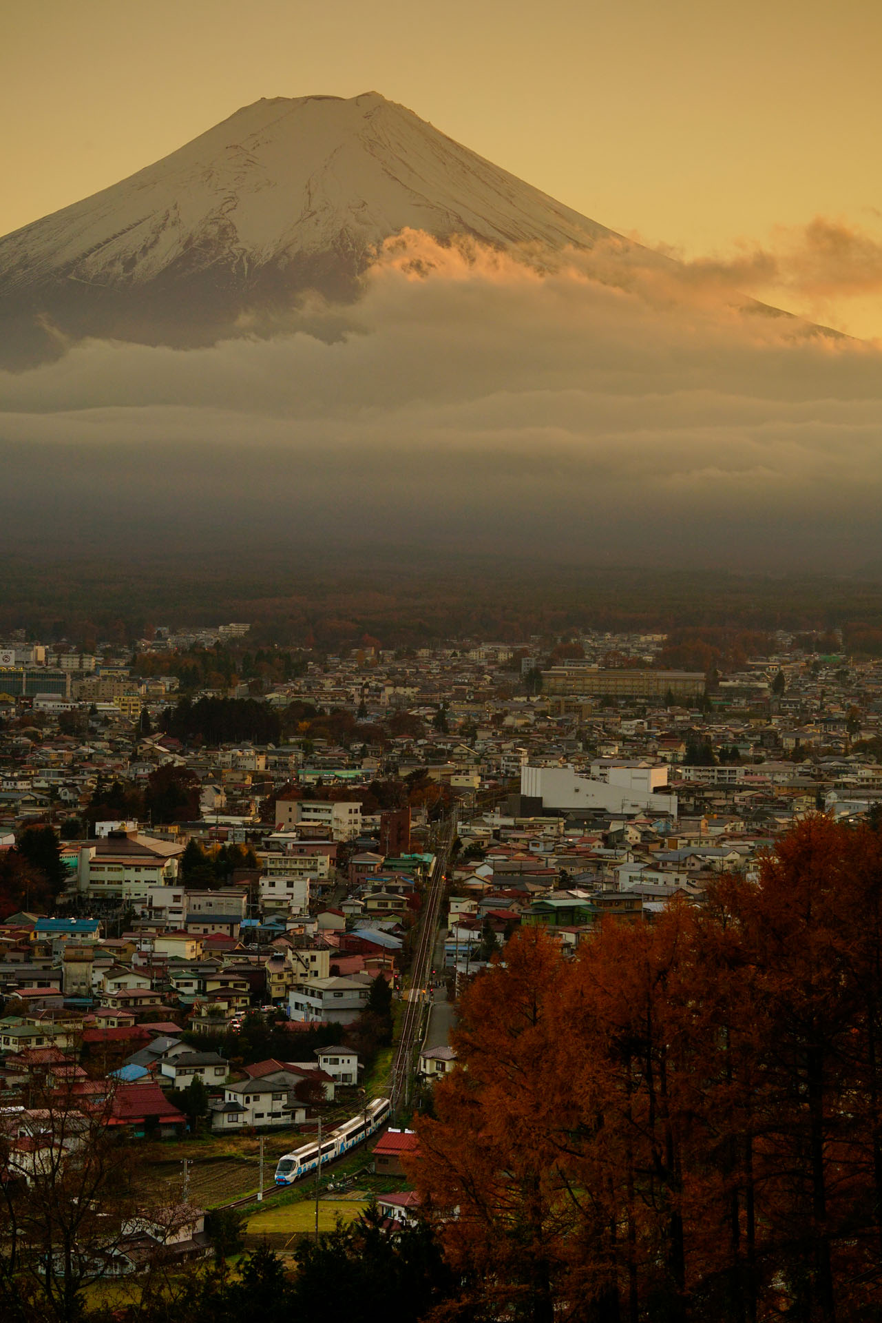 ソニーα7R II　FE 70-300mm F4.5-5.6 G OSS（79mm）　絞り優先オート（F5.6、1/250秒）ISO 400　WB:日陰　PLフィルター使用