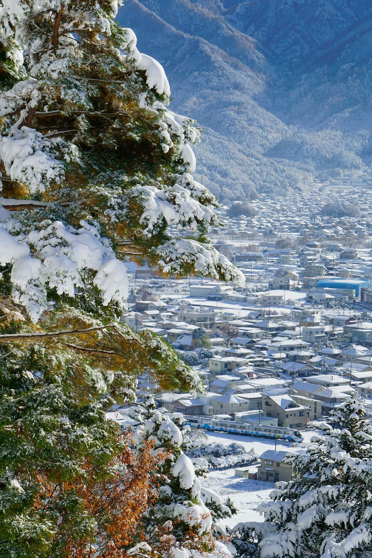 ソニーα7R II　FE 24-70mm F4 ZA OSS（70mm）　絞り優先オート（F9、1/800秒）ISO 400　WB:太陽光