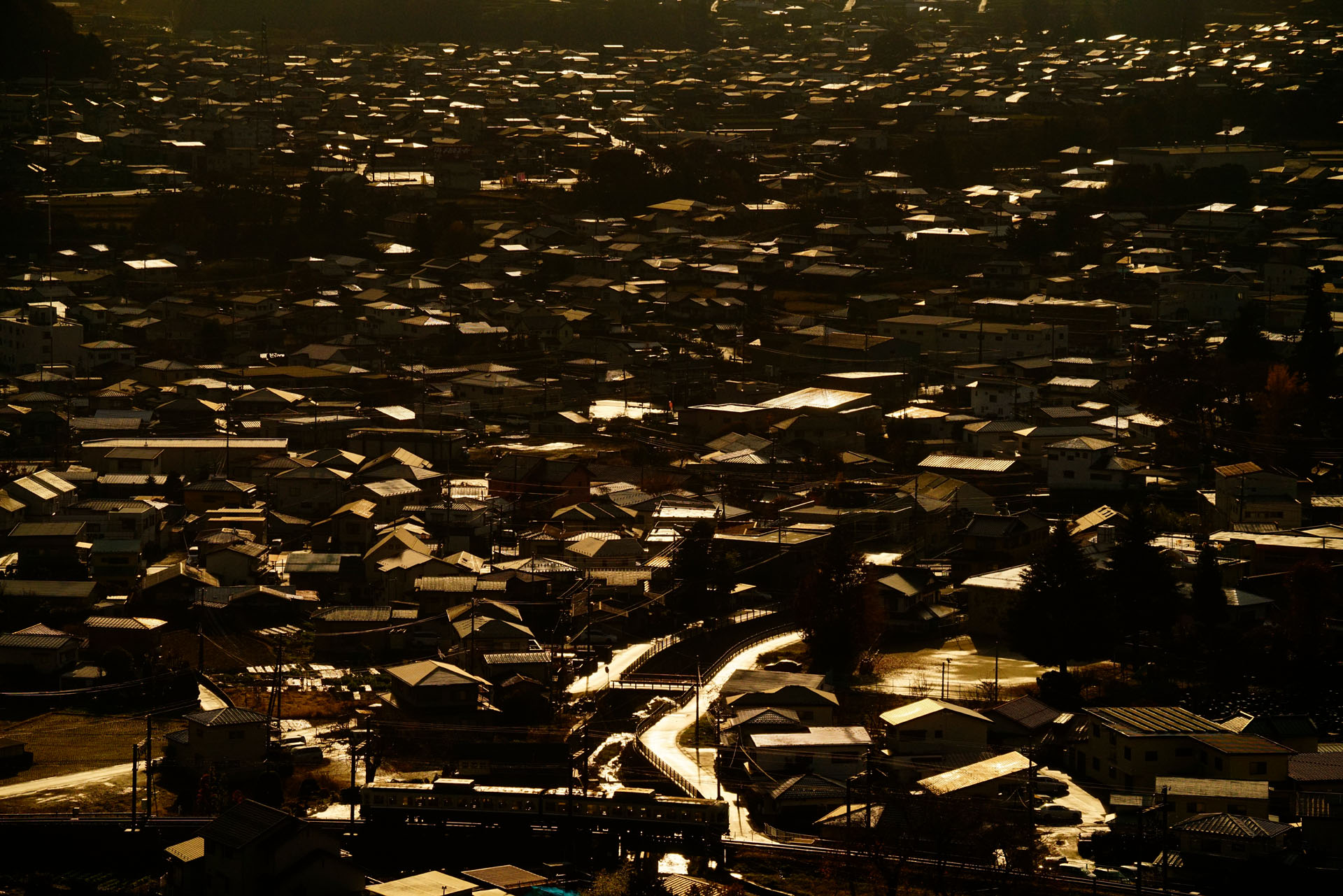 ソニーα7R II　FE 70-300mm F4.5-5.6 G OSS（79mm）　絞り優先オート（F5.6、1/8,000秒）ISO 800　WB:日陰