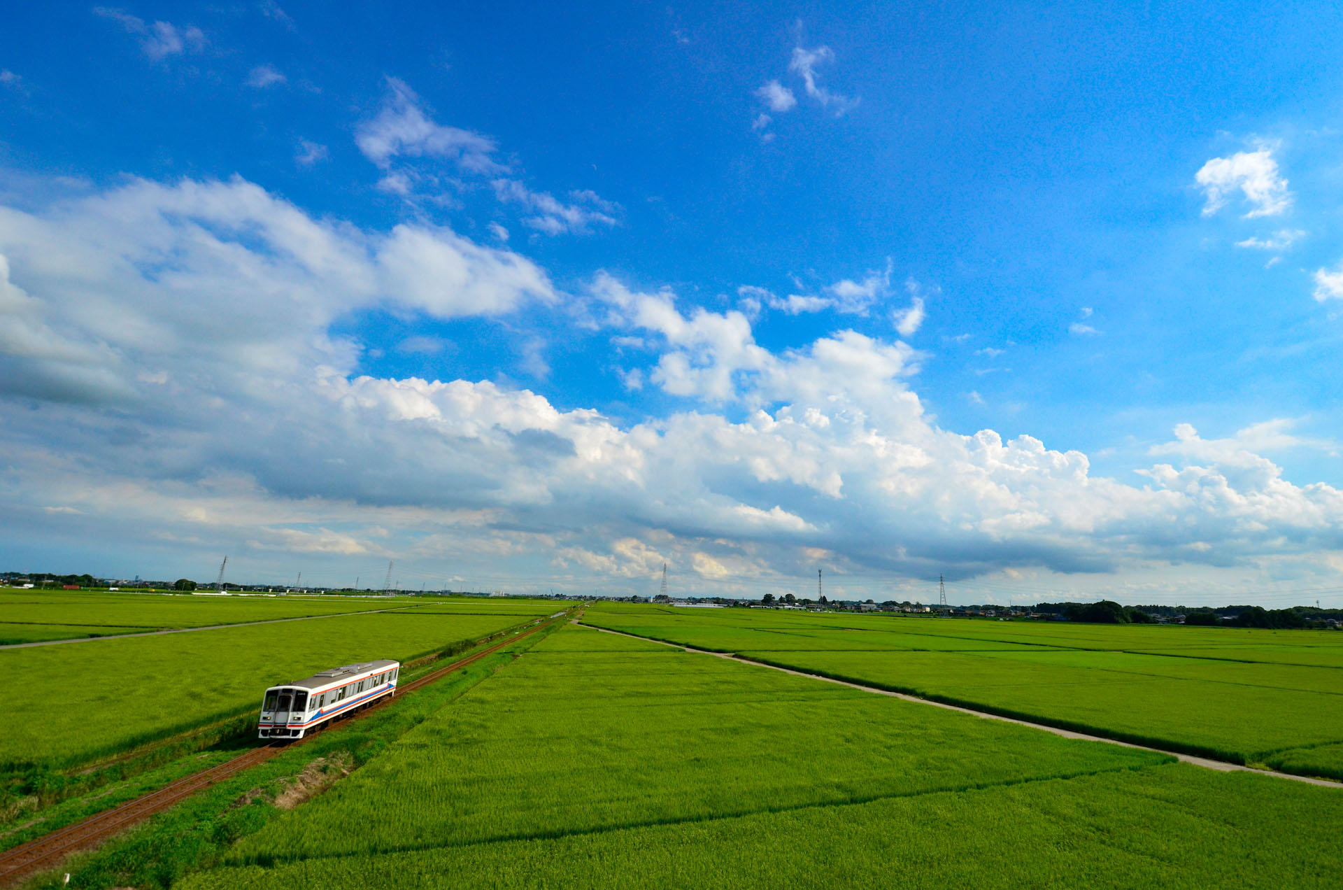 ニコン　D5100　AF-S DX NIKKOR 10-24mm/f/3.5-4.5G ED（11mm）　絞り優先オート（F11、1/750秒）ISO 400　WB:太陽光