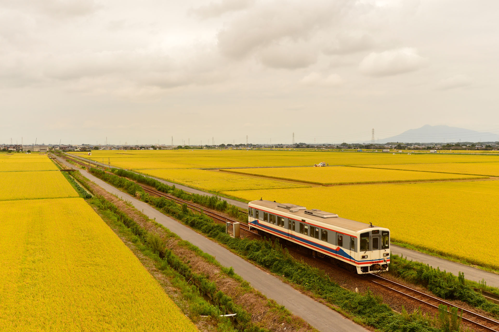 ニコンDf　AF-S NIKKOR 24-120mm f4G ED VR（35mm）　絞り優先オート（F5.6、1/1,250秒）ISO 400　WB:晴天日陰