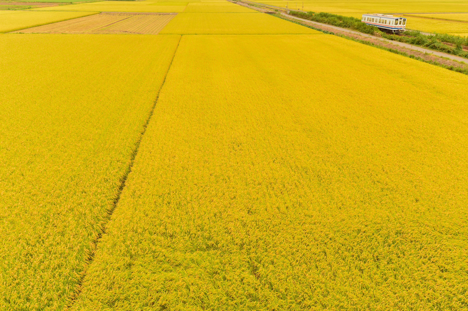 ニコンDf　AF-S NIKKOR 24-120mm f4G ED VR（30mm）　絞り優先オート（F5.6、1/500秒）ISO 400　WB:晴天日陰