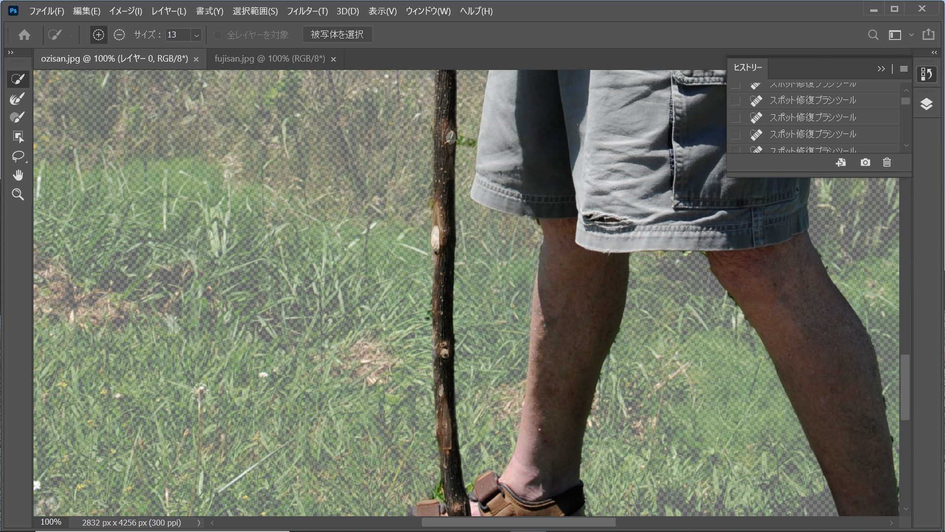 杖の一部、右足の一部に範囲指定が正しくない部分があったので、手作業で再指定する