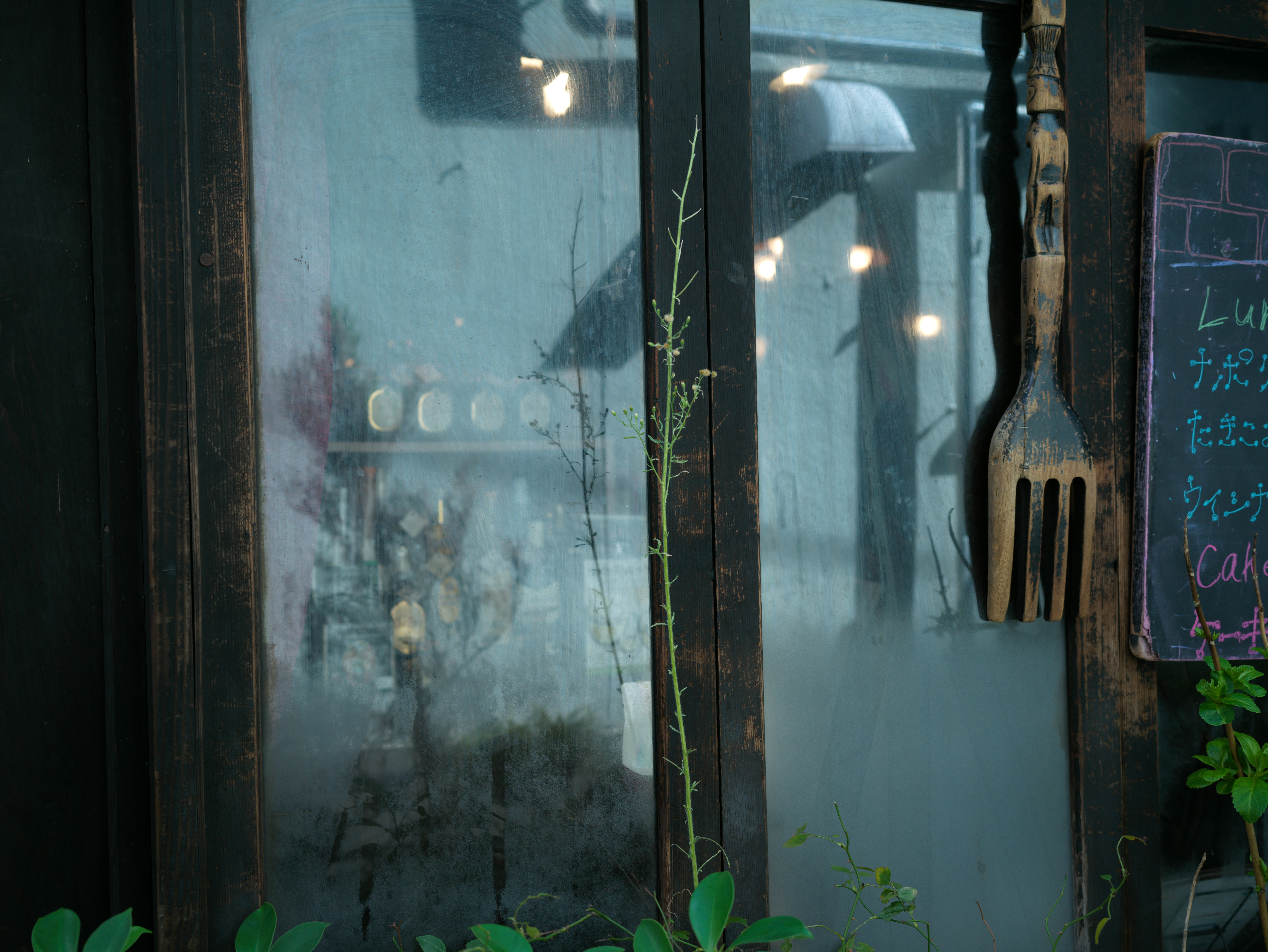 <span class="fnt-85">907X 50C＋XCD 4/45P・絞り優先AE（F5.6・1/180秒・±0EV）・ISO 400</span>