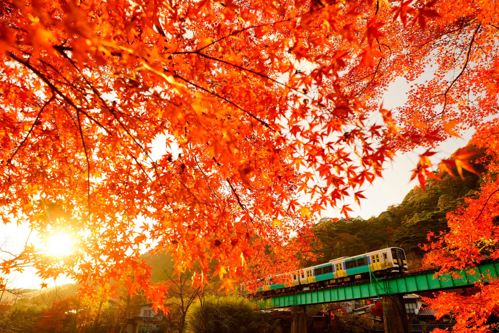 ソニーα7R III　FE 12-24mm F4 G（24mm）絞り優先オート（F6.3、1/500秒）ISO 400　WB:日陰　風景