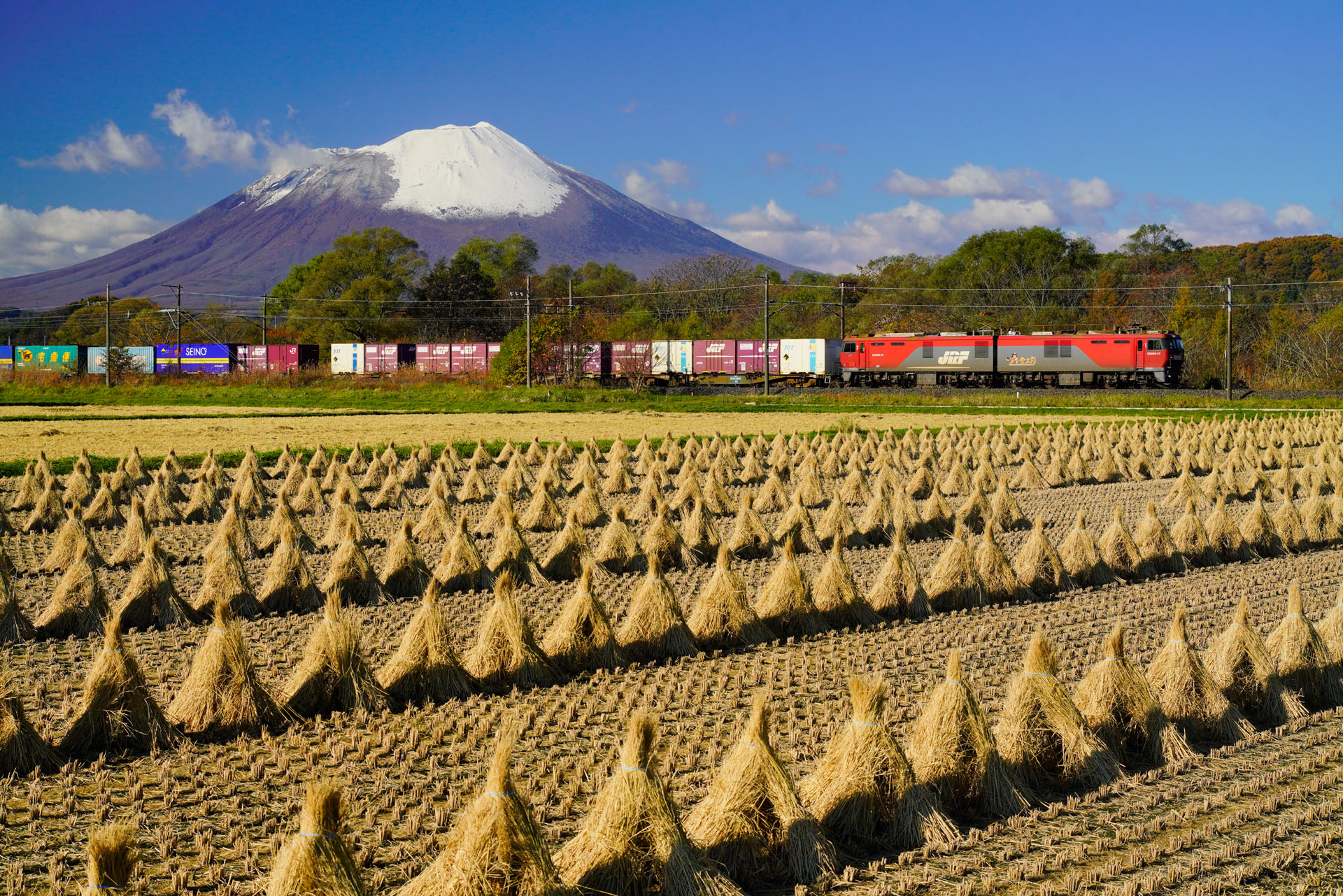 ソニーα7R III　FE 24-70mm F2.8 GM（57mm）絞り優先オート（F8.0、1/800秒）ISO 400　WB:太陽光　風景