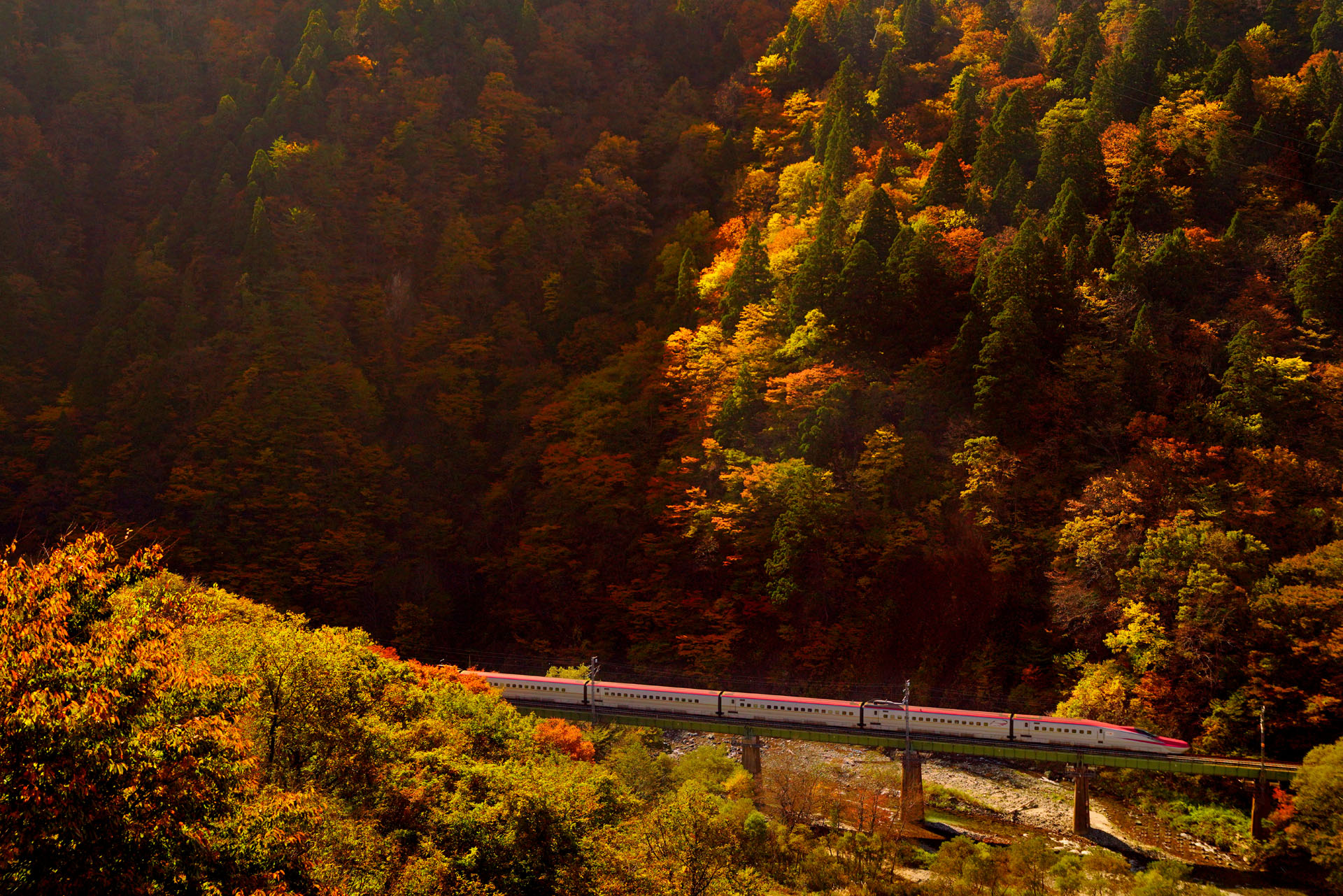 ソニーα7R III　FE 24-70mm F2.8 GM（39mm）マニュアル露出（F4.0、1/2,000秒）ISO 400　WB:日陰　風景