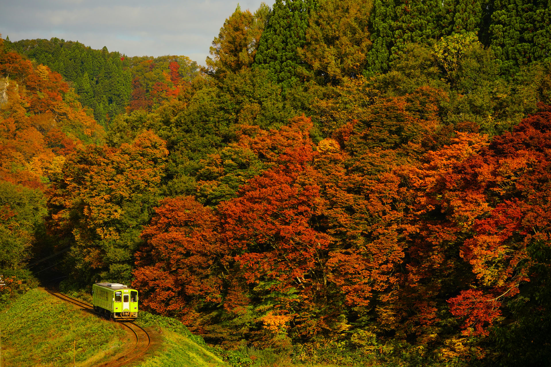 ソニーα7R III　FE 100-400mm F4.5-5.6 GM OSS（123mm）マニュアル露出（F6.3、1/1,250秒）ISO 640　WB:太陽光　風景