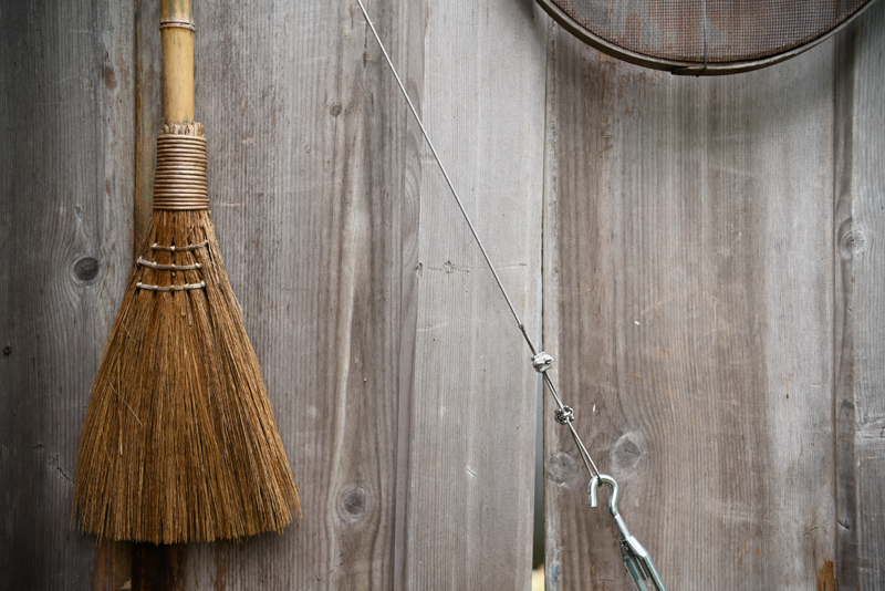 Nikon Z 5 / TTArtisan 50mm f/0.95 ASPH / 絞り優先AE（1/250秒・F0.95・±0.3EV） / ISO 500