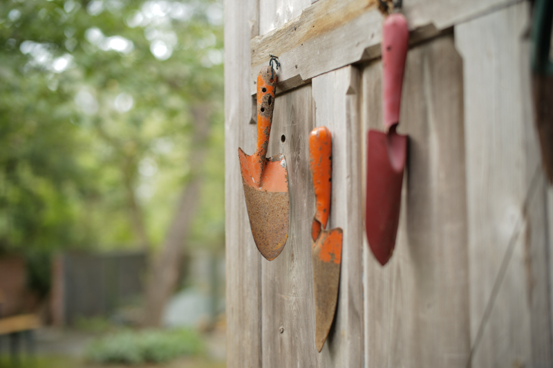 ライカM10 / TTArtisan 50mm f/0.95 ASPH / マニュアル露出（1/90秒・F0.95） / ISO 100