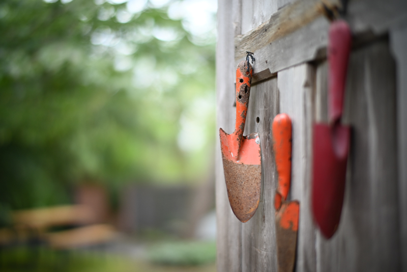 Nikon Z 5 / TTArtisan 50mm f/0.95 ASPH / 絞り優先AE（1/1,000秒・F0.95・±0.0EV） / ISO 500