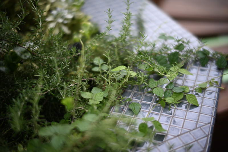 Nikon Z 5 / TTArtisan 50mm f/0.95 ASPH / 絞り優先AE（1/500秒・F0.95・-0.3EV） / ISO 100