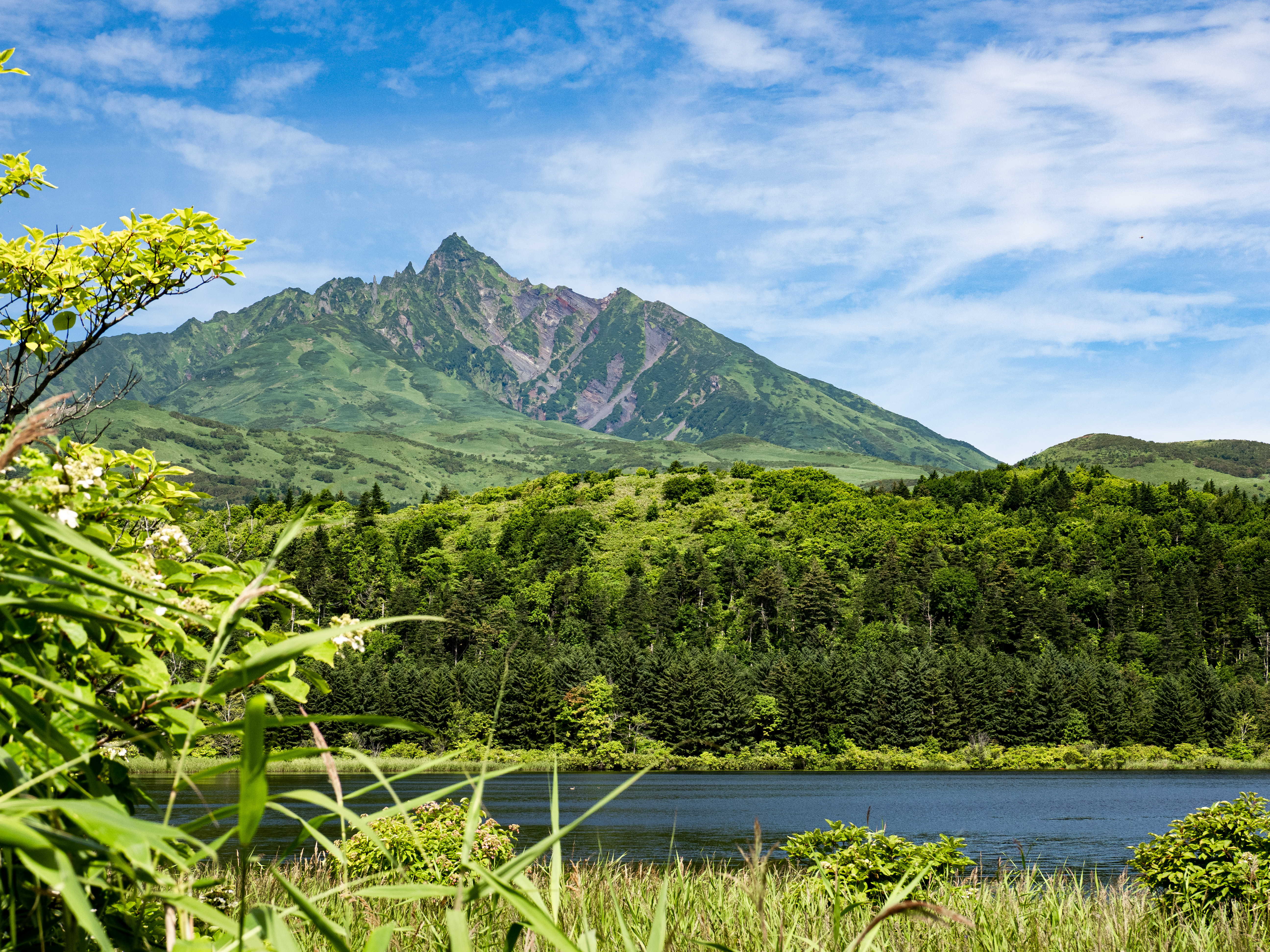 E-M5 Mark III　M.ZUIKO DIGITAL ED 12-100mm F4.0 IS PRO　ISO 200（F5.6・1/320）絞り優先AE　WBオート　マルミEXUS CIRCULAR P.L Mark II使用