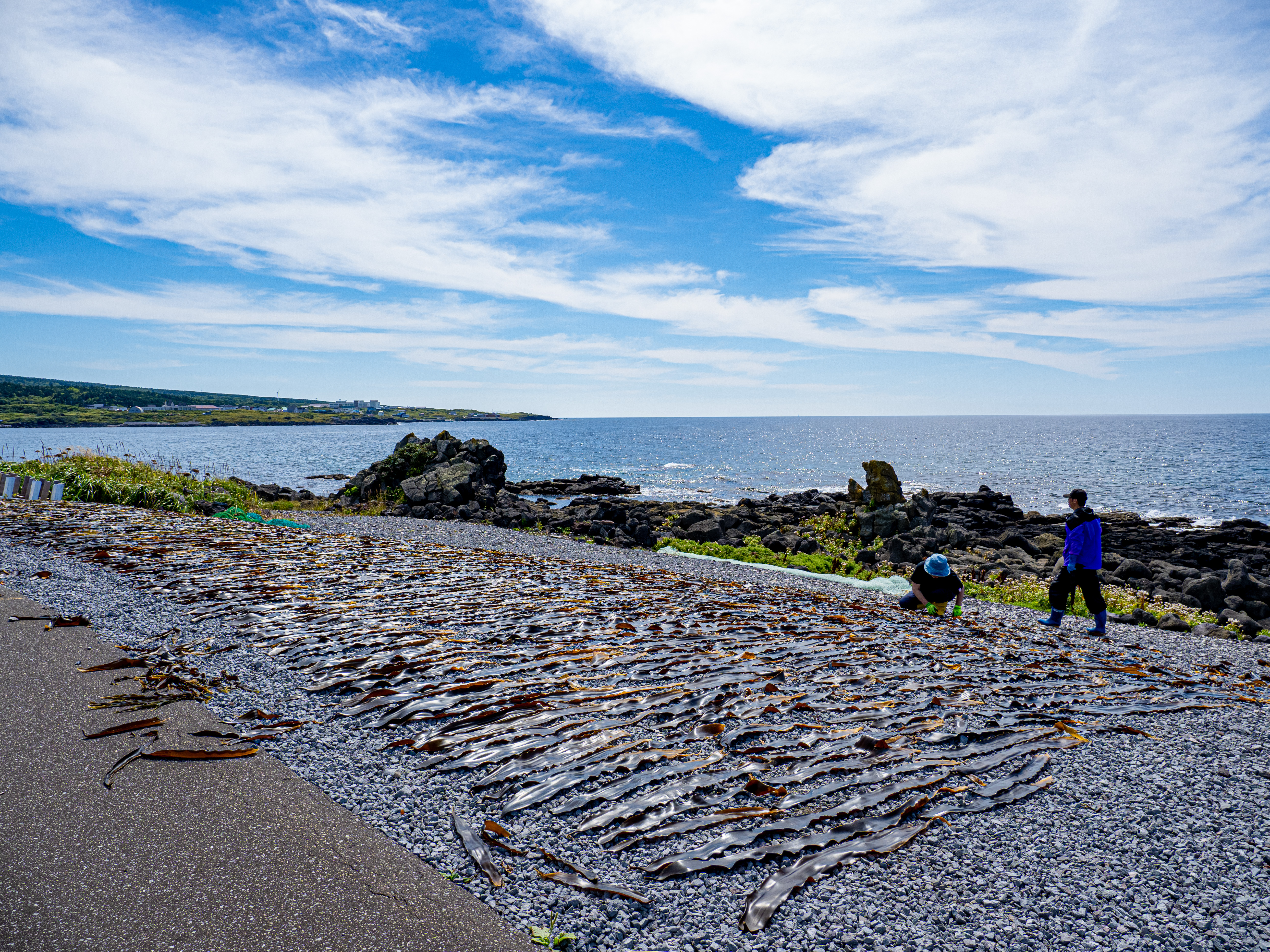 E-M5 Mark III　M.ZUIKO DIGITAL ED 12-100mm F4.0 IS PRO　ISO 200（F5.6・1/640）絞り優先AE　+0.7EV　WB晴天