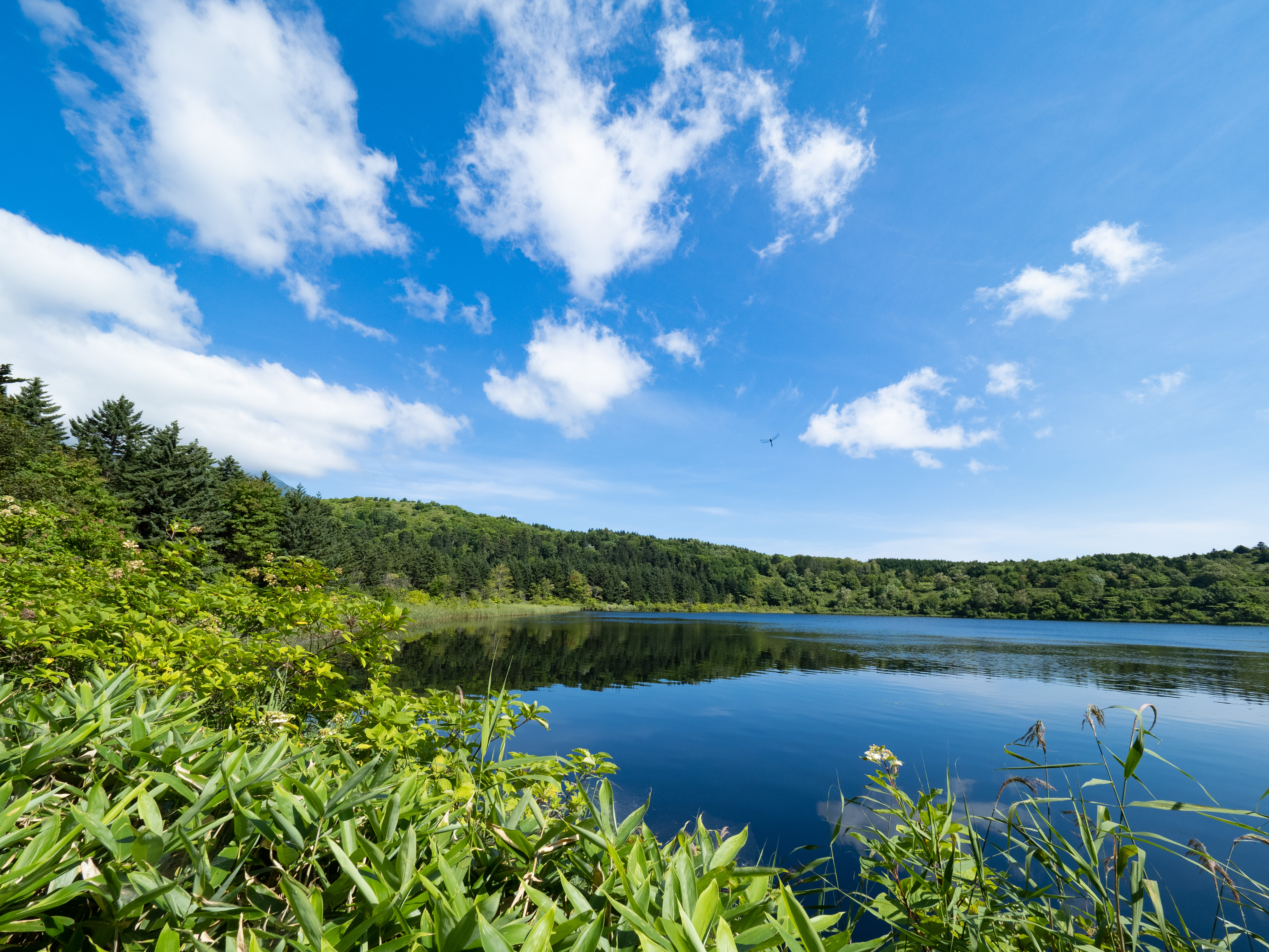 E-M1 Mark III　M.ZUIKO DIGITAL ED 7-14mm F2.8 PRO　ISO 200（F8.0・1/500）絞り優先AE　WBオート