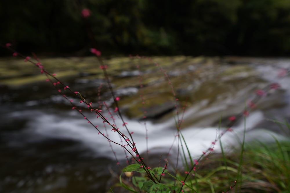 α7R III / SIGMA 14-24mm F2.8 DG DN Art / 16mm / 絞り優先オート（25秒・F8.0・+0.3EV） / ISO 100