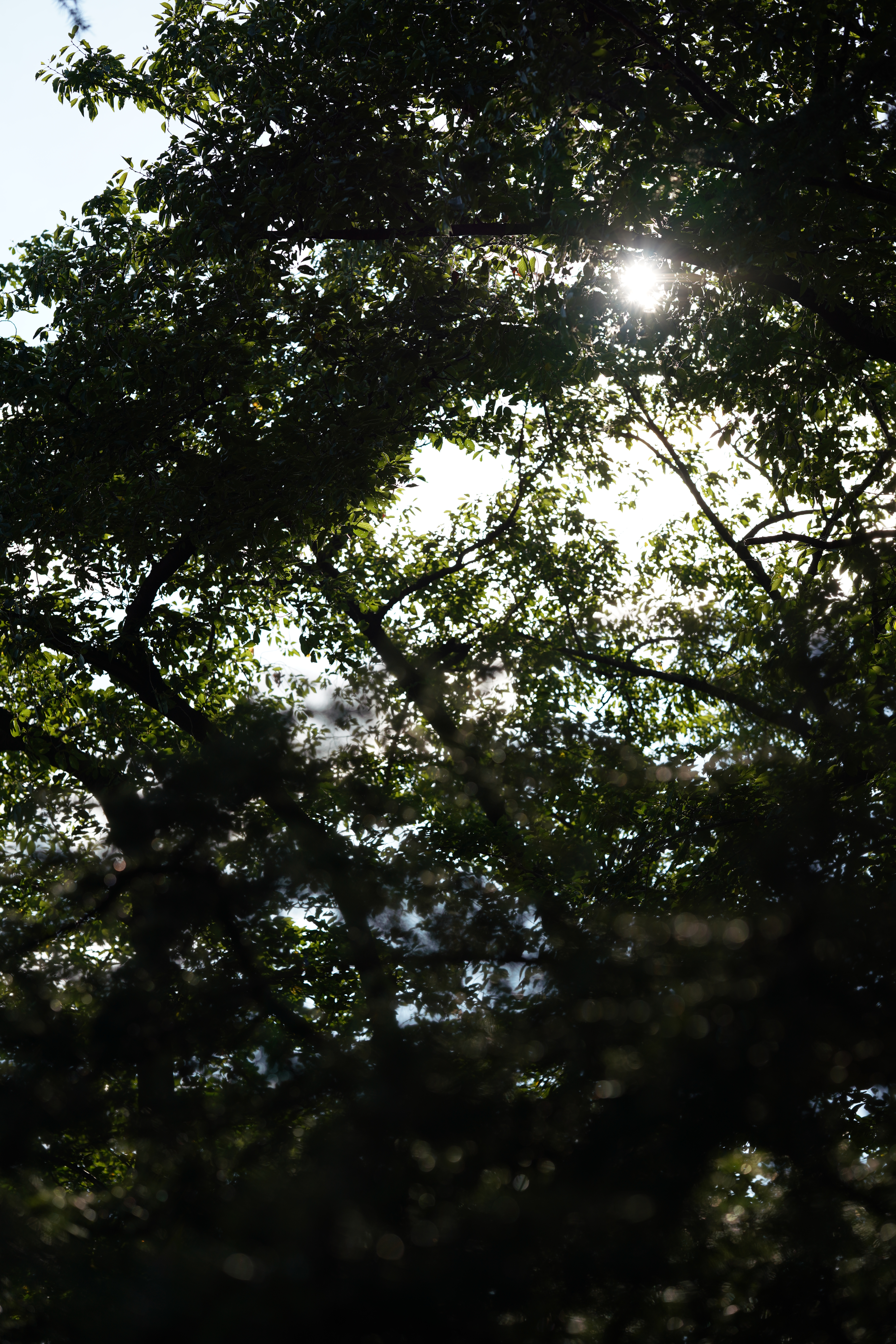 F2.8<br><span class="fnt-85">1/1,250秒・±0EV・ISO 100</span>