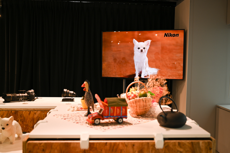 Zシリーズの動物AFを試せるスペースも。映像やぬいぐるみなどが用意されている