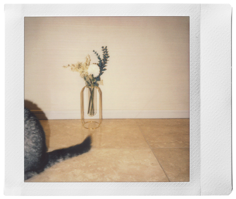 広瀬すずさんが撮影した写真