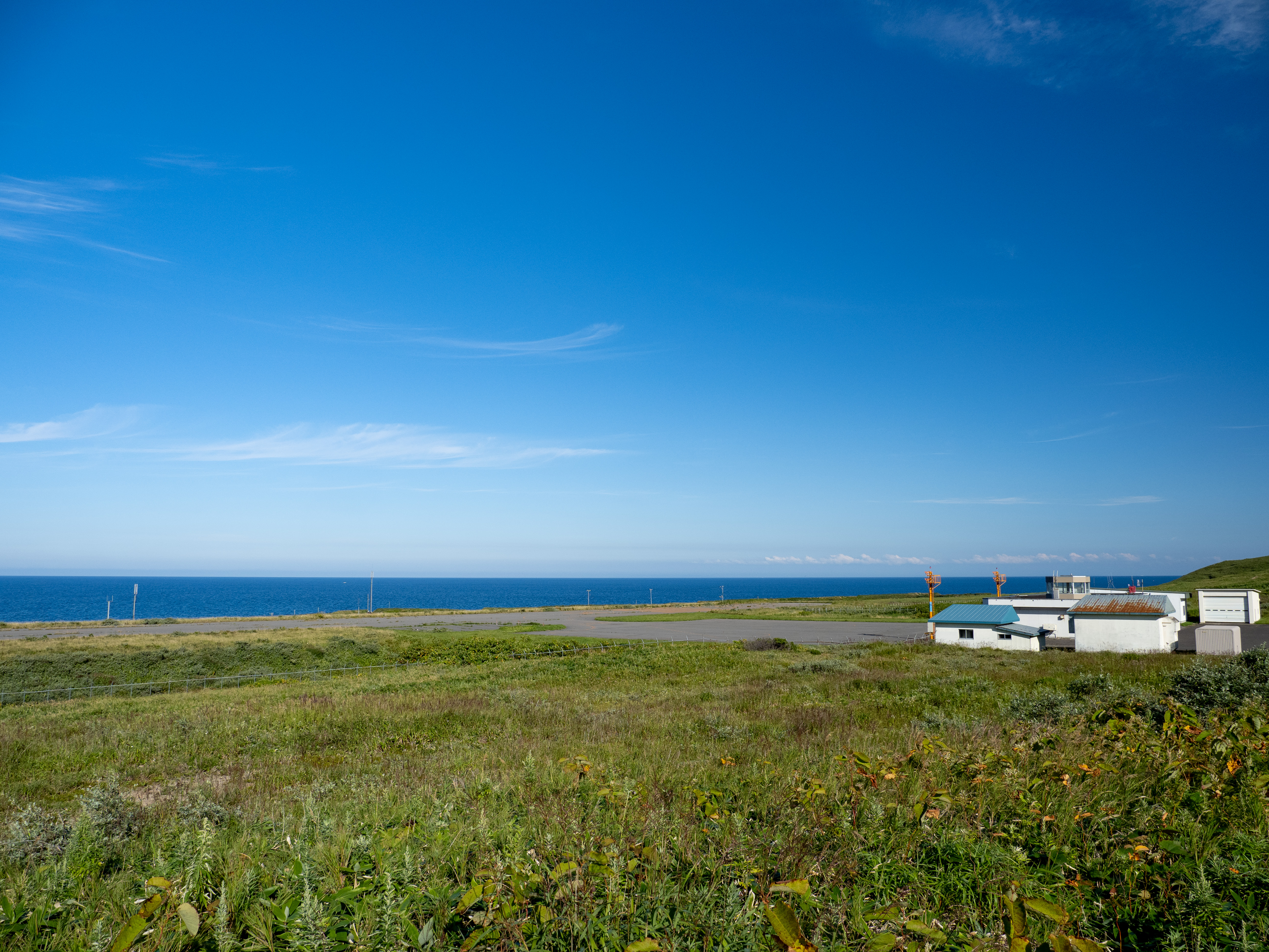 E-M5 Mark III　M.ZUIKO DIGITAL ED 12-100mm F4.0 IS PRO　ISO 200（F5.6・1/500）絞り優先AE　+0.7EV　WBオート